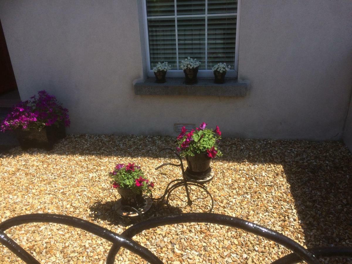 Dilis Go Brath Bed & Breakfast Tramore Exterior photo